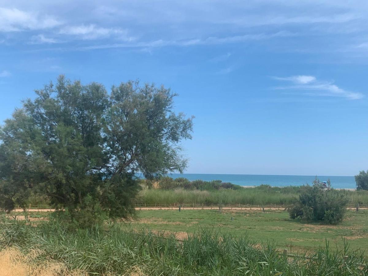 Beachfront Apartment With A Private Garden On The Ground Floor Moncófar Екстериор снимка